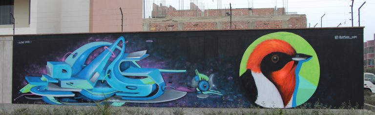 Graffiti en San Rafael